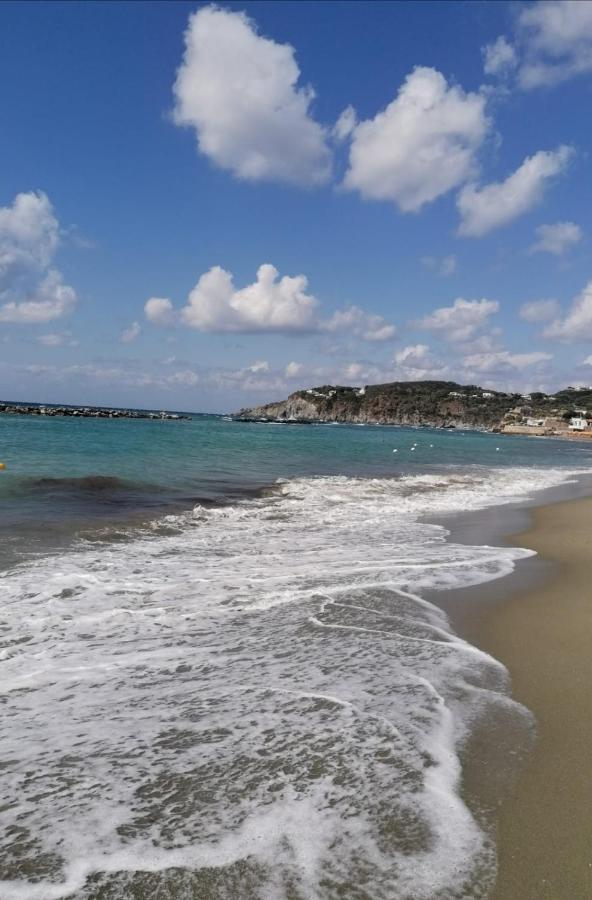 La Bicocca Di Annavi Bed and Breakfast Forio di Ischia Exteriör bild
