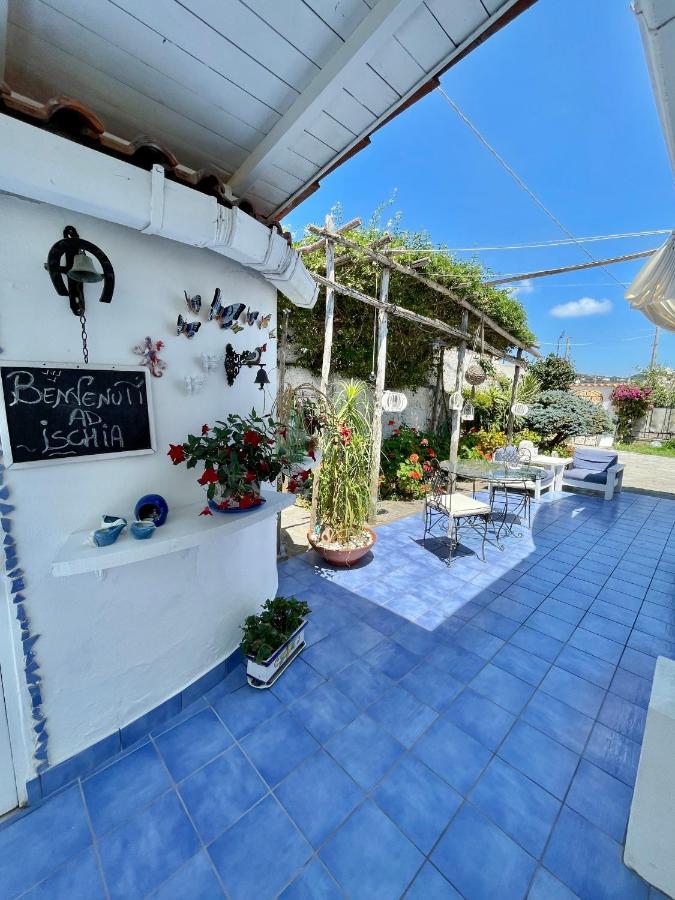 La Bicocca Di Annavi Bed and Breakfast Forio di Ischia Exteriör bild